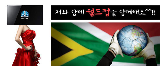 저와 함께 월드컵을 함께해요