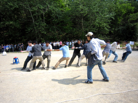줄다리기하는 직원들