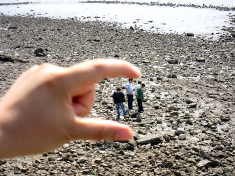 CAE팀 직원들을 잡으려는 손