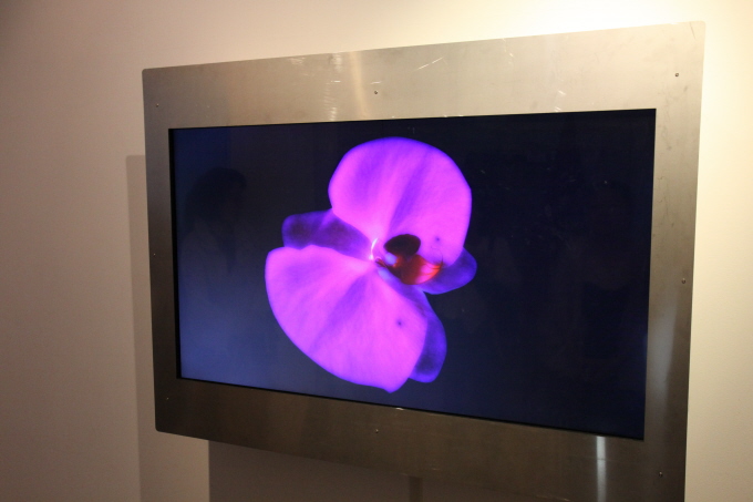 정영훈의 The Flowers