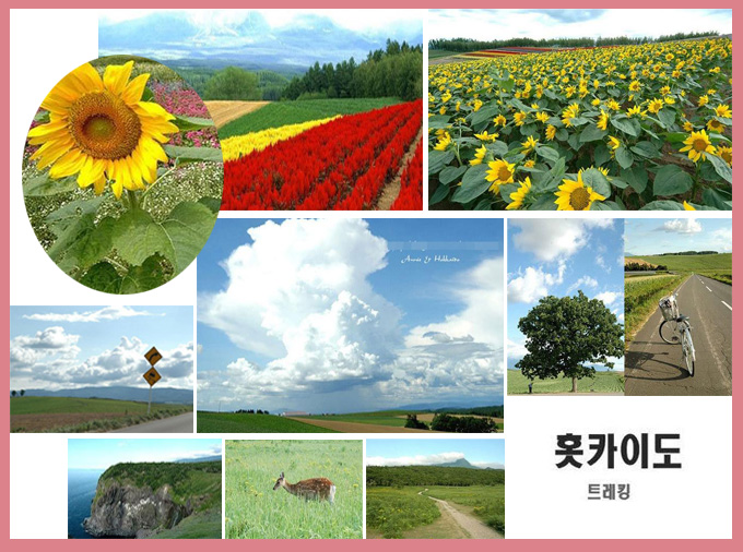 한여름의 홋카이도 트래킹