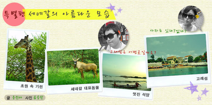 븍별편 세네갈의 아름다운 모습 , 초원속 기린, 세네갈 대표 동물, 멋진 석양, 고레섬