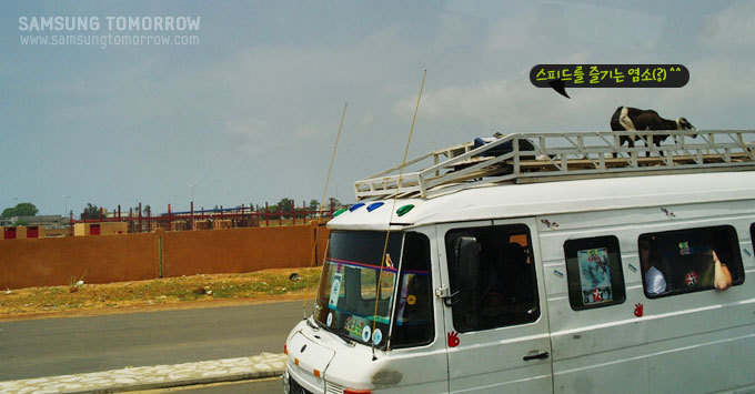 스피드를 즐기는 염소