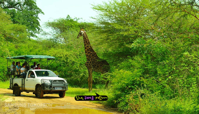 힘내, 귀여운 기린아~