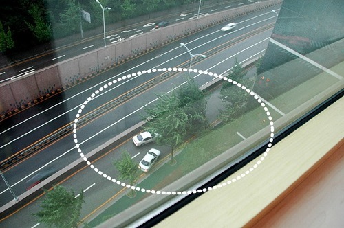 가로수가 깔린 자동차