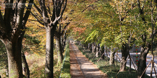호암미술관 입구