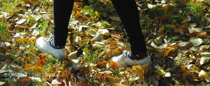 나뭇잎 길을 걷고 있는 발