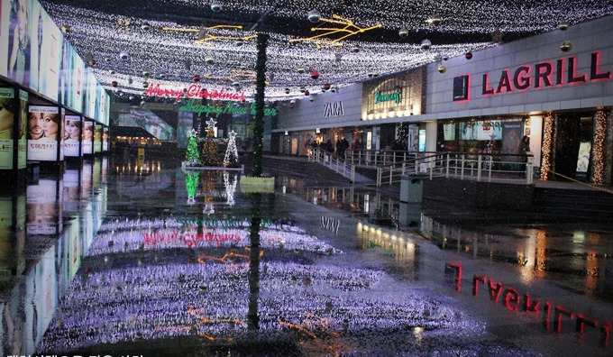 비온뒤 코엑스의 트리