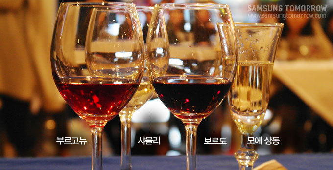 부르고뉴, 샤블리, 보르도, 모에 샹동