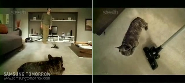 강아지를 향해 가는 청소기