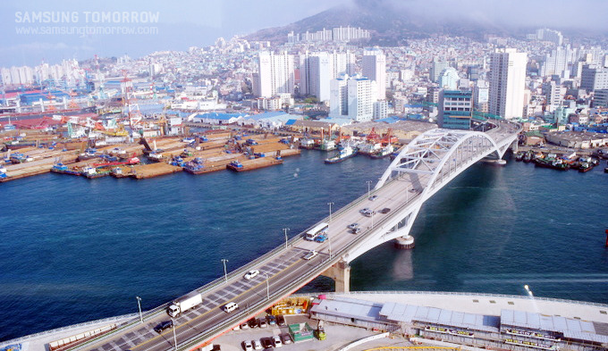 전망대에서 내려다본 부산 시내