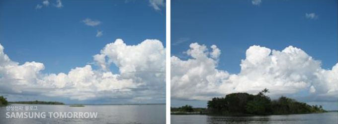 멀리 보이는 아마존 밀림