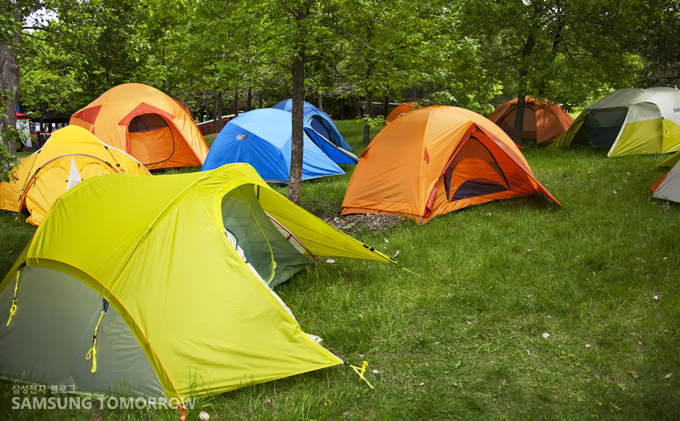 공원에 쳐진 텐트들