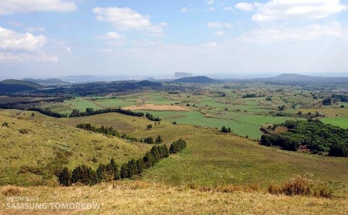 용눈이오름에서 멀리 보이는 성산일 출봉