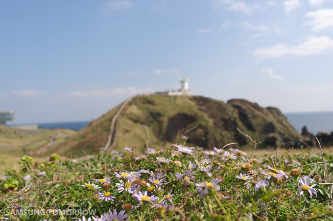 멀리보이는 등대