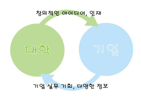 창의적인 아이디어, 인재 대학 기업, 기업 실무 기회, 다양한 정보
