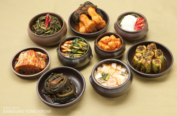 김치의 여러 종류