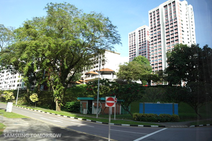 나무 뒤로 보이는 아파트