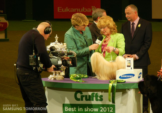 Crufts 2012 진행 모습