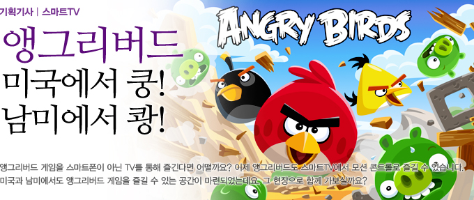 앵그리버드 미국에서 쿵! 남에서 쾅!