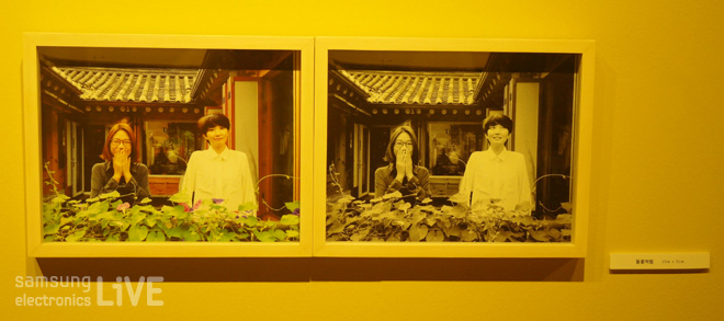 사진전 벽에 걸린 사진