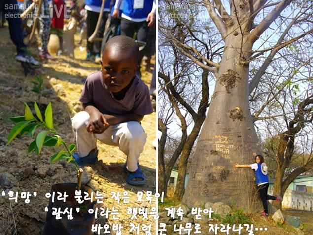 희망이라 불리는 작은 묘목이 관심이라는 햇빛을 계속 받아 바오밥 처럼 큰나무로 자라나길