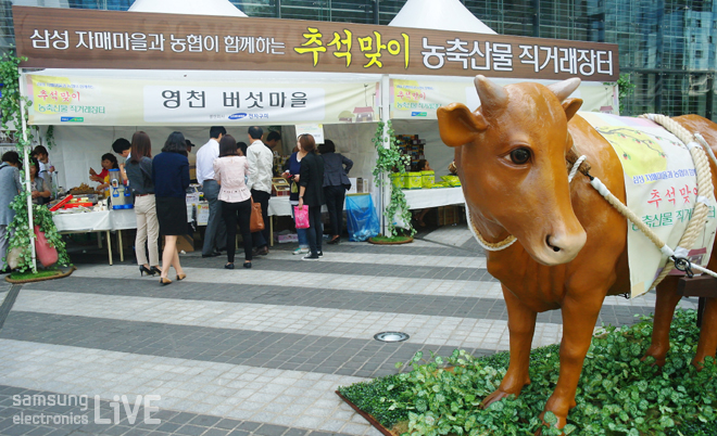 추석맞이 농축산물 직거래 장터 전경