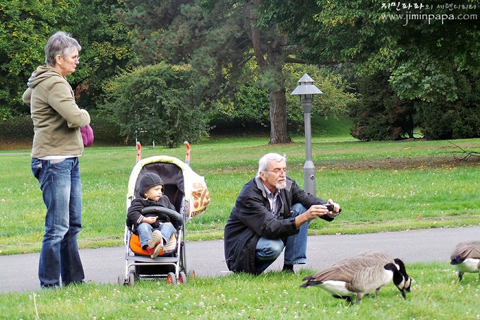 공원에서 거위사진을 찍는 할아버지와 할머니, 아기