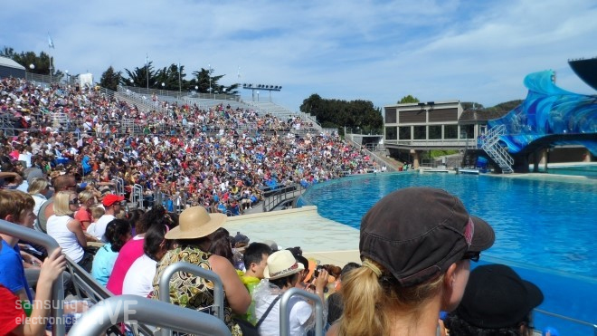 샤무쇼(Shamu Show)를 보러 온 사람들