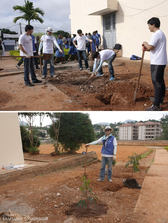 묘목을 심는 자봉단