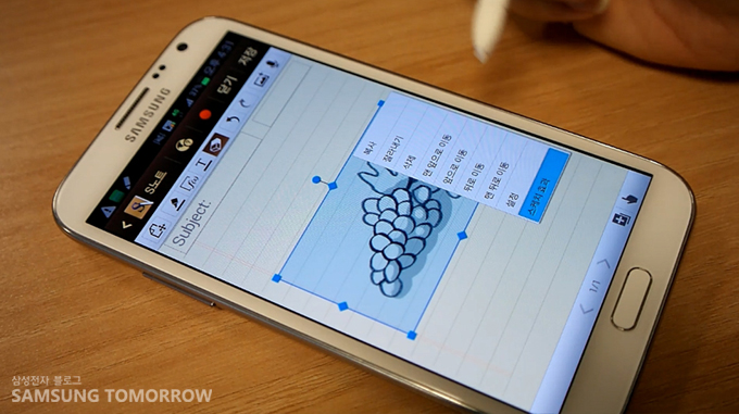 포도 이미지 설정창