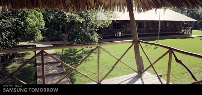 원두막 사이로 보이는 나무집