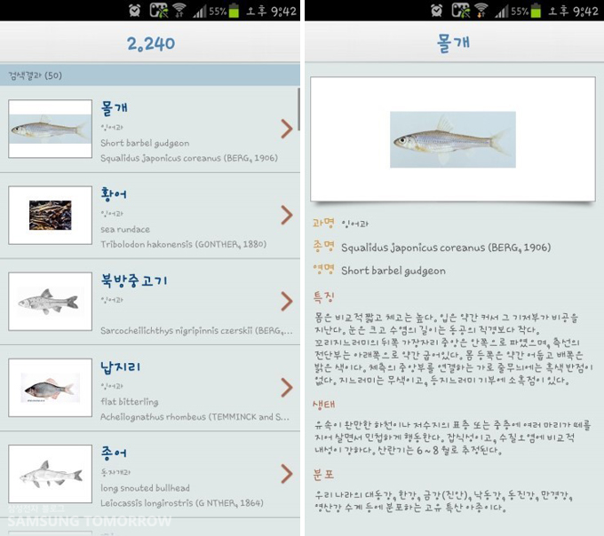 검색 결과, 몰개