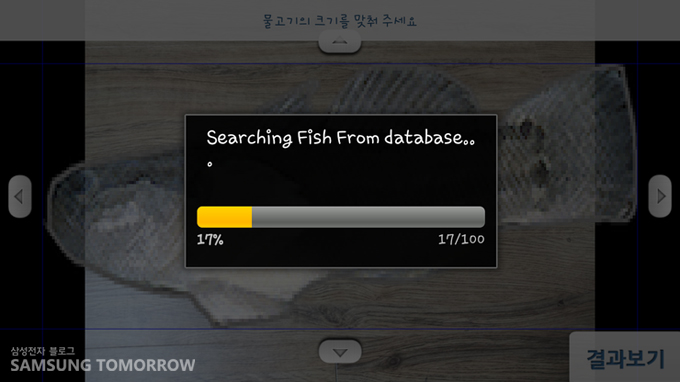 물고기 사진을 스캔애 찾고 있다
