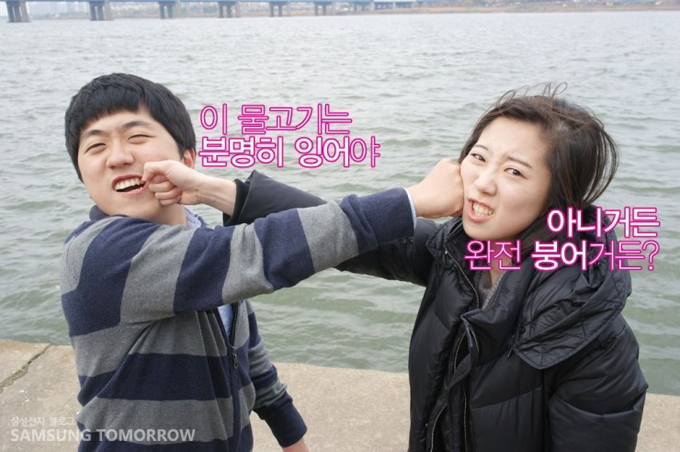 이 물고기는 분명히 잉어야, 아니거든 완전 붕어거든