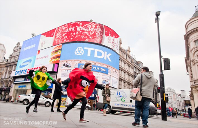 빨간새와 녹색돼지