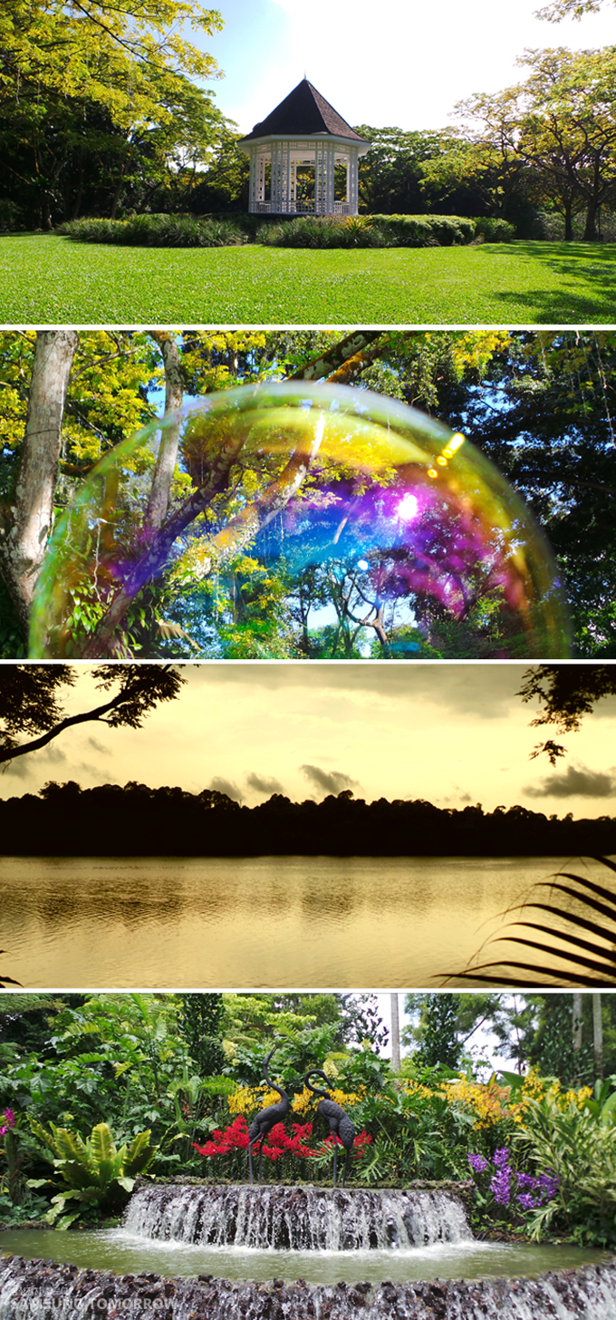 정자, 비누방울, 강, 분수대