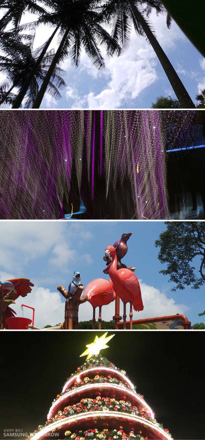 야자수, 야경, 조형물, 트리