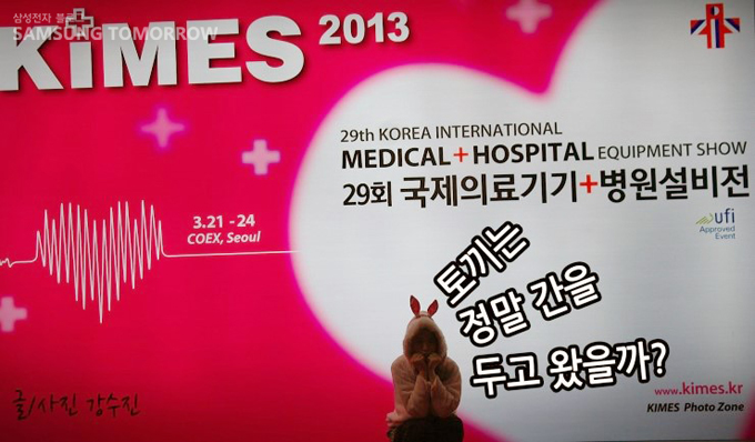 토끼는 정말 간을 두고 왔을까?