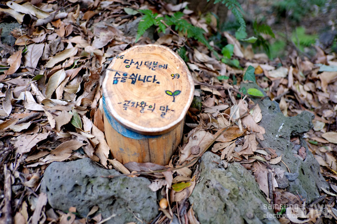 당신덕분에 숨을 쉽니다. -곶자왈의 말