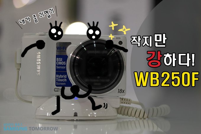 작지만 강하다 wb250f