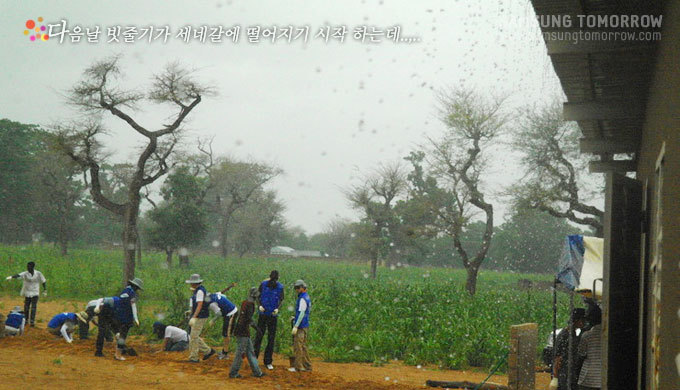 다음날 빗줄기가 세네갈에 떨어지기 시작하는데...
