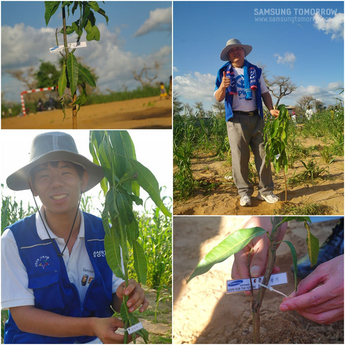 봉사원들이 망고나무를 심는 사진