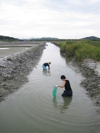 도랑에서 조개를 잡는 글쓴이