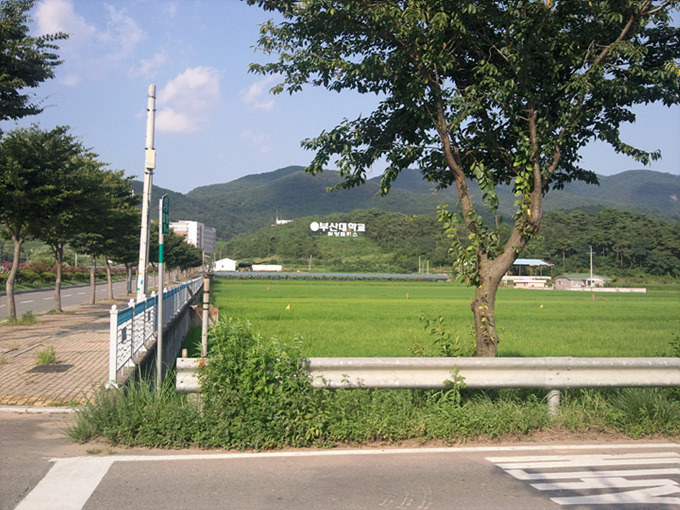 부산대학교가 보이는 길