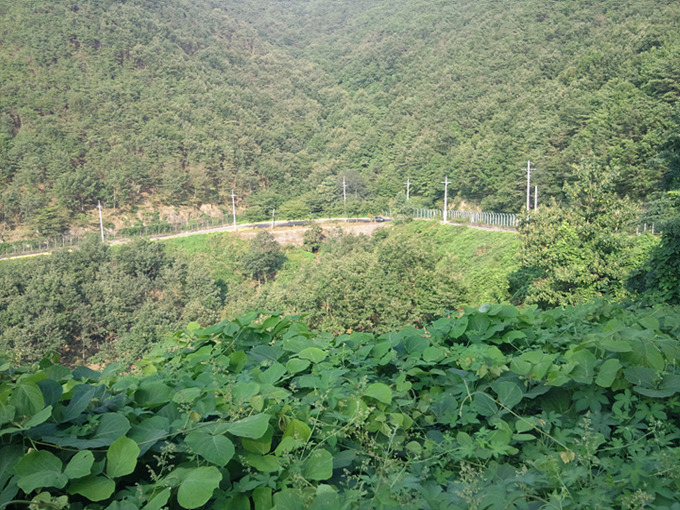 정상에서 내려다본 밀양