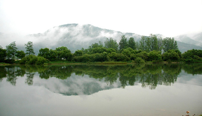 이른 새벽 캠핑장 앞 안개낀 물가