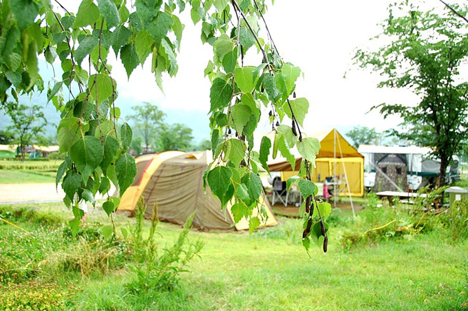 자라섬 오토캠핑장 전경