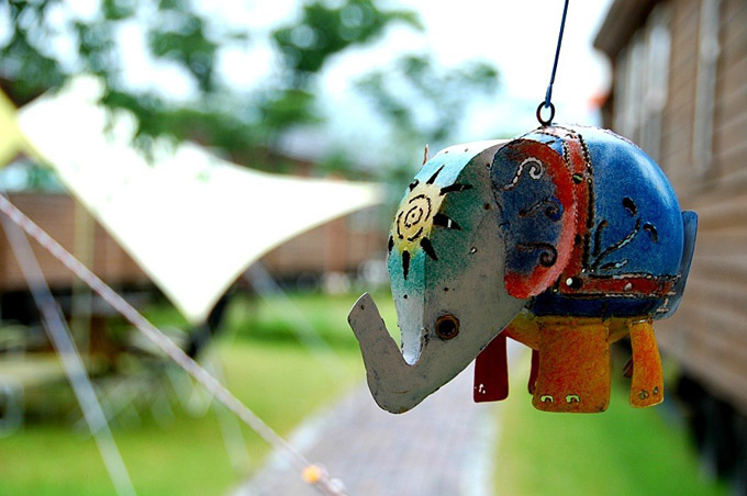 자라섬 오토캠핑장 전경