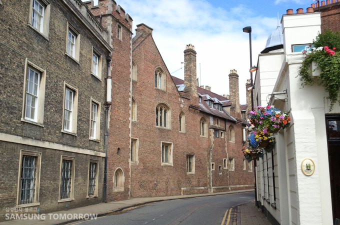 케임브리지 내 단과대학